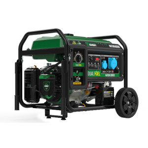 Generador de Gas Natura 6000 Genergy