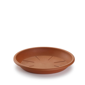 Plato Plástico